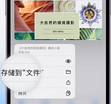 丹寨apple维修中心分享iPhone文件应用中存储和找到下载文件