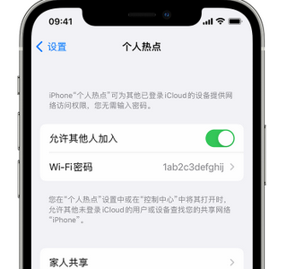 丹寨apple服务站点分享iPhone上个人热点丢失了怎么办 