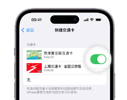 丹寨apple维修点分享iPhone上更换Apple Pay快捷交通卡手绘卡面 