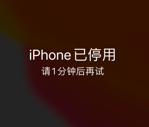 丹寨苹果手机维修分享:iPhone 显示“不可用”或“已停用”怎么办？还能保留数据吗？ 