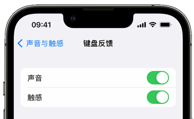 丹寨苹果手机维修分享iPhone 14触感键盘使用方法 