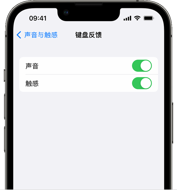 丹寨苹果14维修店分享如何在 iPhone 14 机型中使用触感键盘 