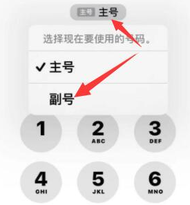 丹寨苹果14维修店分享iPhone 14 Pro Max使用副卡打电话的方法 