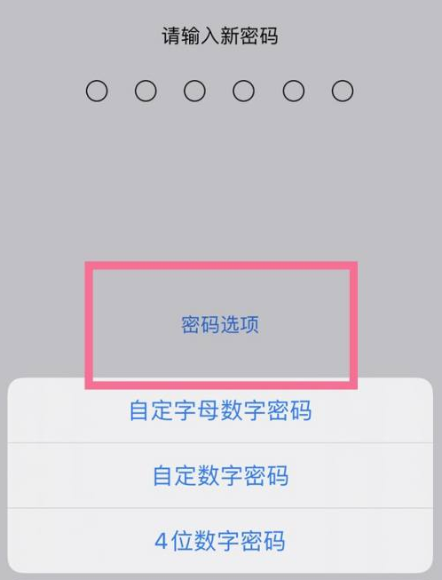 丹寨苹果14维修分享iPhone 14plus设置密码的方法 