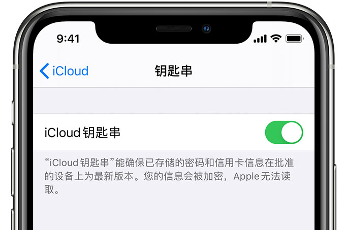 丹寨苹果手机维修分享在 iPhone 上开启 iCloud 钥匙串之后会储存哪些信息 