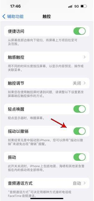 丹寨苹果手机维修分享iPhone手机如何设置摇一摇删除文字 